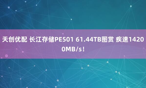 天创优配 长江存储PE501 61.44TB图赏 疾速14200MB/s！